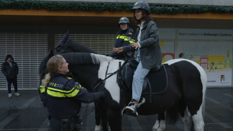 Waarom rijdt de politie soms op een paard?